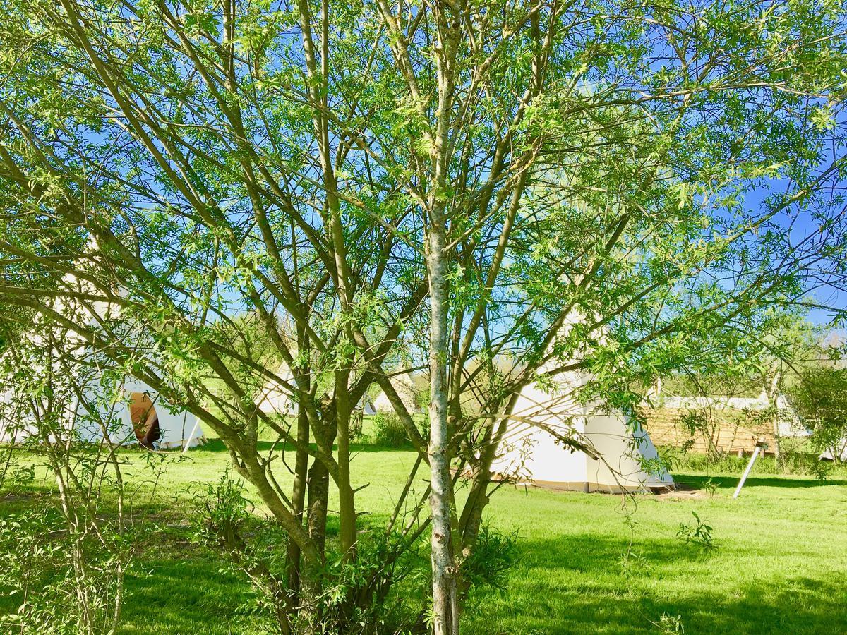 Les Tipis Du Bonheur De Vivre Hotell Brûlon Eksteriør bilde